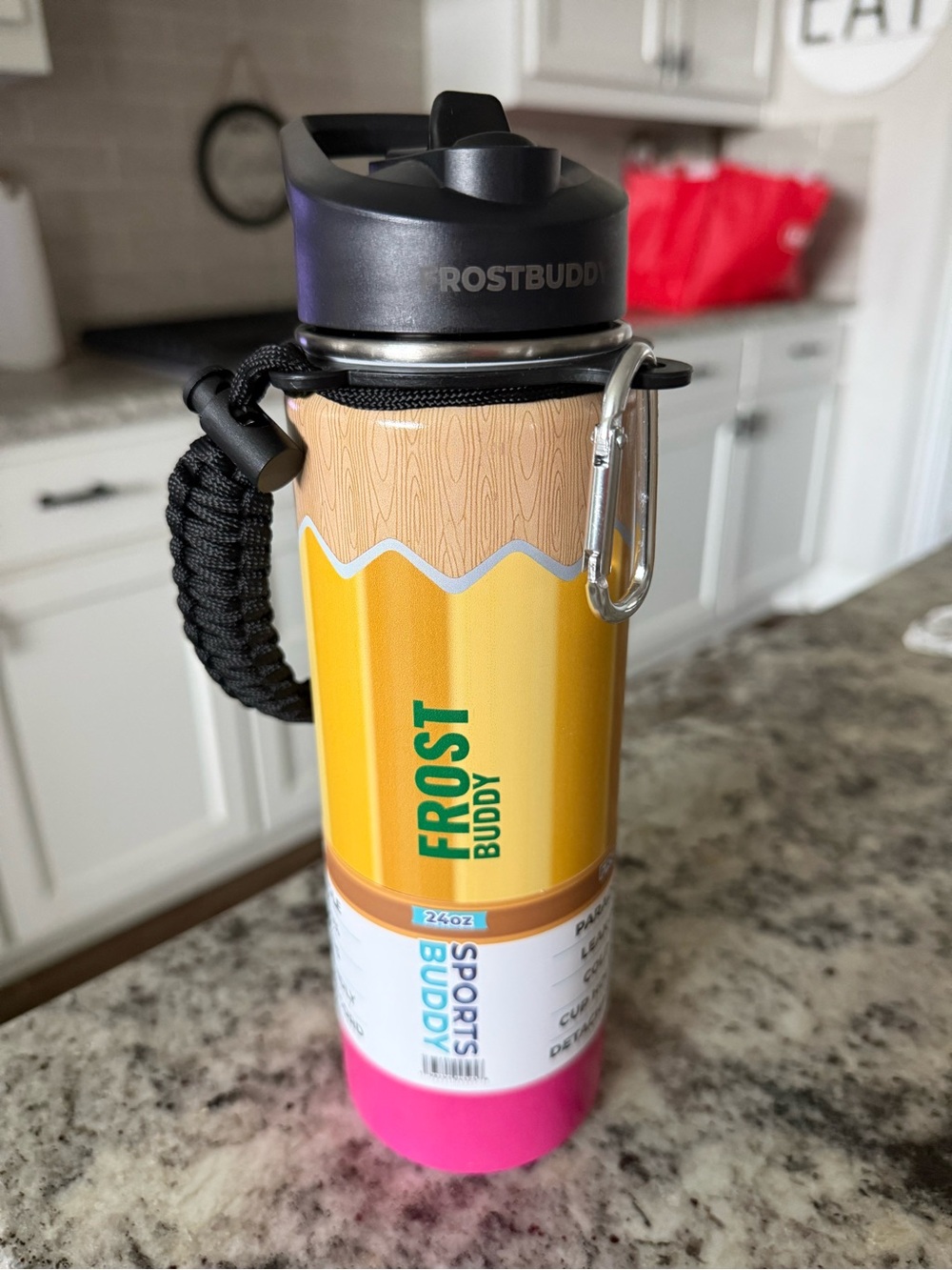 Frost Buddy Yellow and Pink Insulated Sports Bottle with Carabiner